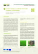 Abonos verdes y cubiertas vegetales Ventajas y desventajas. .jpg